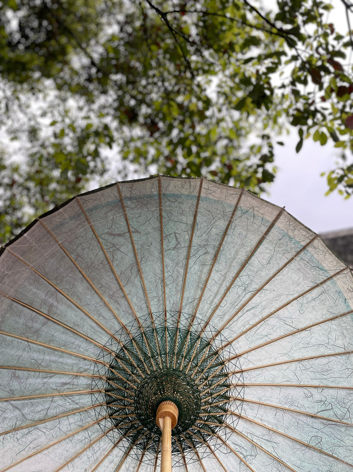 Translucent Grey Oil Paper Umbrella